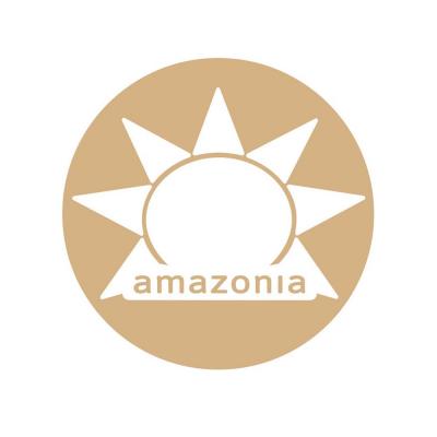 Amazonia Raw Protein Organic Paleo Gentle Digest Vanilla 500g